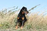 BEAUCERON 143